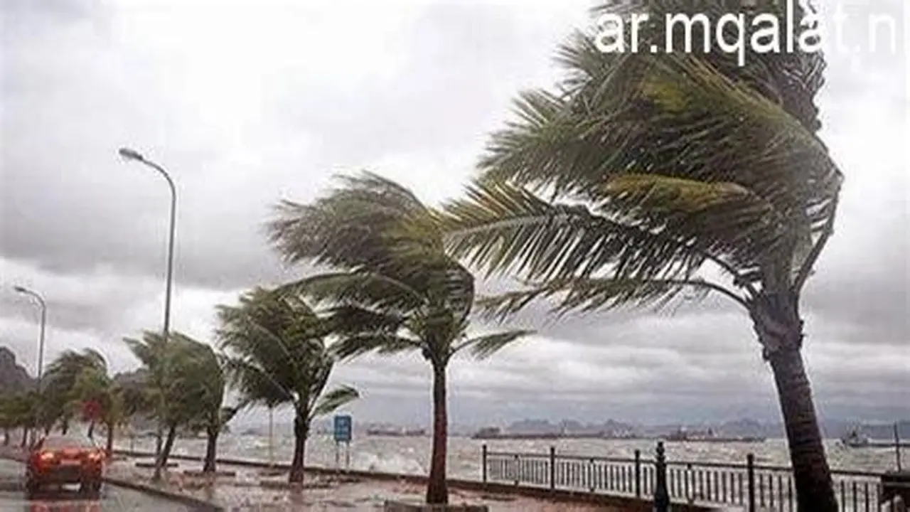 تحذير بحري.. رياح مثيرة للأتربة تنخفض معها حرارة القاهرة إلى 11 درجة مئوية